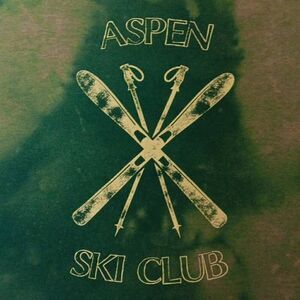 Aspen Ski Club Midriff Tshirt Women's Size Large  Color: Green  Brand: Colsie